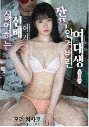 美国生活的大片 黄石公园